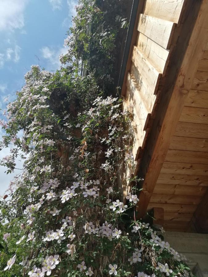 אינסברוק Appartement Seppi מראה חיצוני תמונה